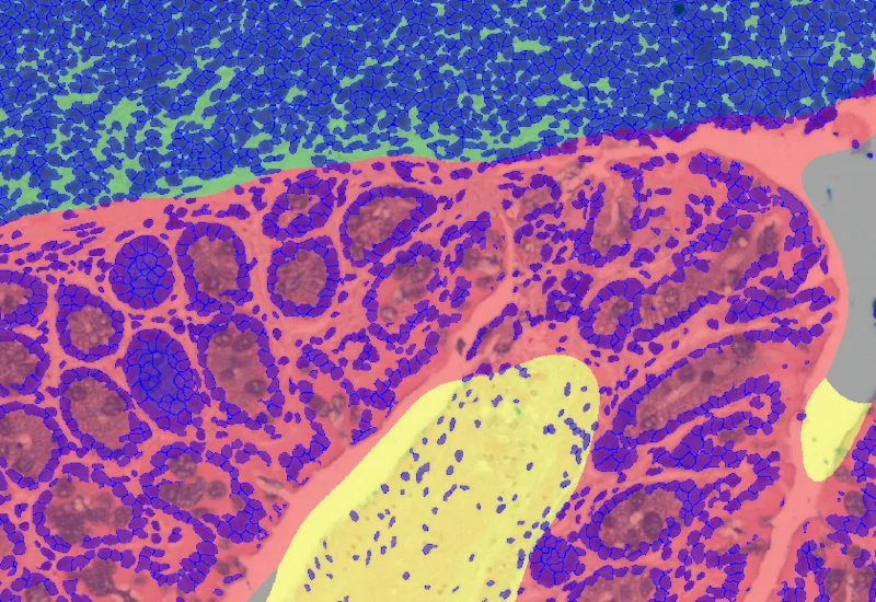 Dynamic Content Image